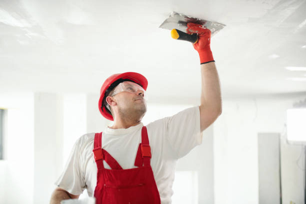 Best Residential Painting  in Troy, PA